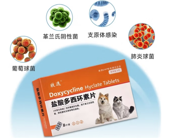 牧逸宠物盐酸多西环素片一片多少mg 牧逸宠物盐酸多西环素片一片多少mg