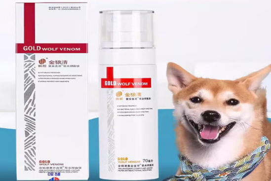 毅和金狼清怎么样
