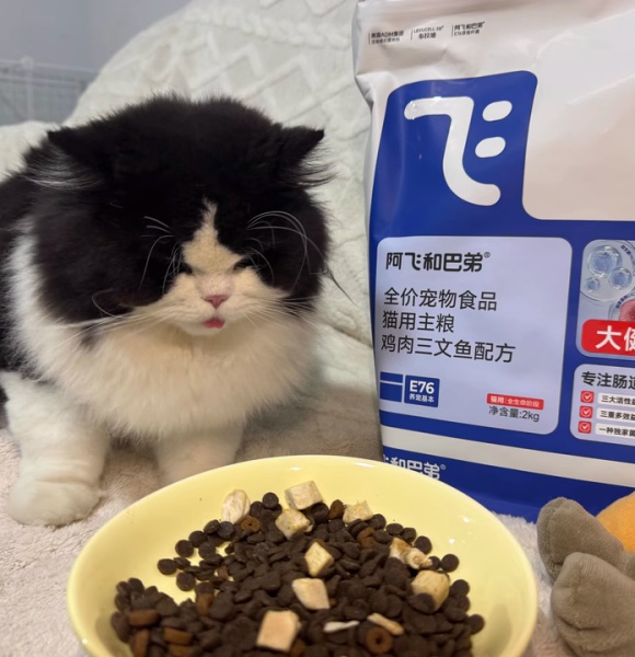 冻干双拼猫粮好不好?阿飞和巴弟呵护肠道值得推荐 冻干双拼猫粮好不好?阿飞和巴弟呵护肠道值得推荐