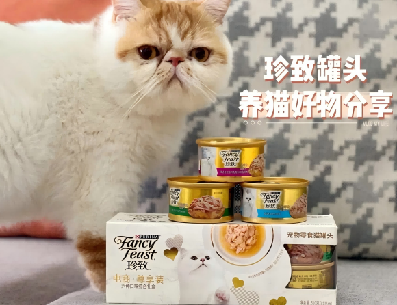 哪个牌子的猫罐头好?珍致金罐定义科学养猫的黄金营养标准 哪个牌子的猫罐头好?珍致金罐定义科学养猫的黄金营养标准