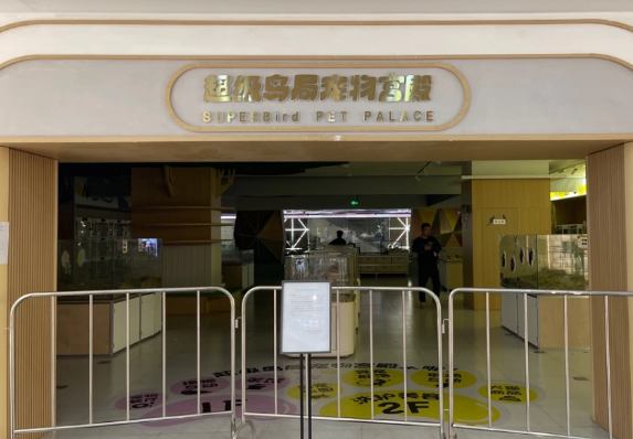 “超级鸟局”一宠物店关闭后有猫滞留? “超级鸟局”一宠物店关闭后有猫滞留?