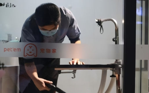 宠物家APP在哪里下载