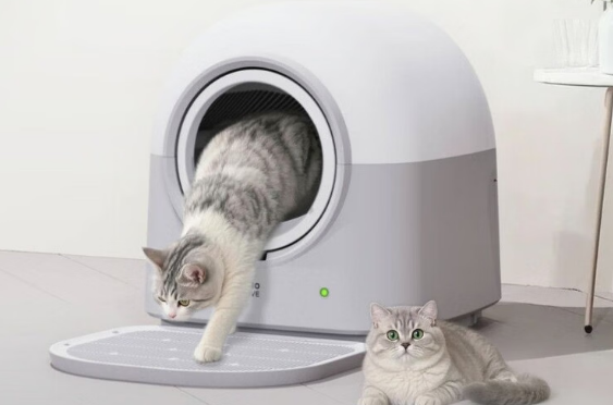 HHOLOVE猫砂盆是充电的吗
