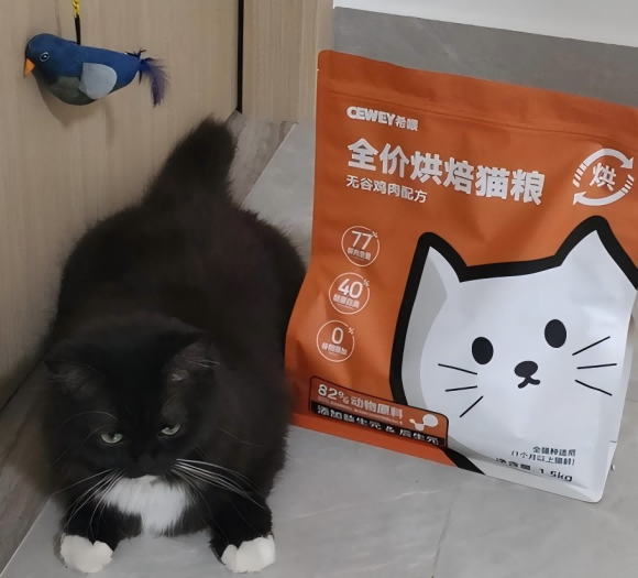 猫粮什么牌的好？看希喂低温烘焙猫粮如何成为家庭新宠