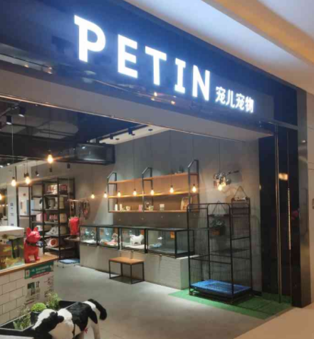 宠儿宠物创始人刘斌与他的宠物服务革新之路 宠儿宠物创始人刘斌与他的宠物服务革新之路