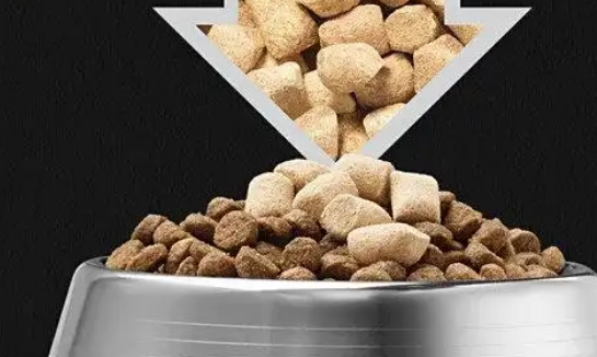 狸花猫吃什么猫粮比较好?推荐天然百利幼猫粮! 狸花猫吃什么猫粮比较好?推荐天然百利幼猫粮!