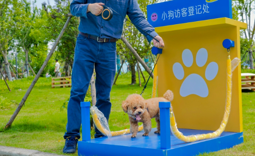 上海市第四届文明养宠嘉年华盛大开幕！