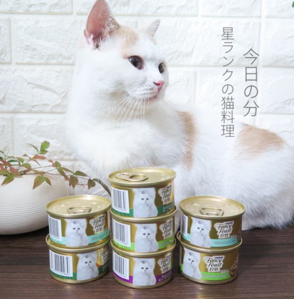 质量口碑较好的猫罐头有哪些？珍致，宠物饮食选择的新高度
