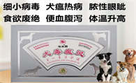 马头犬瘟多肽效果如何