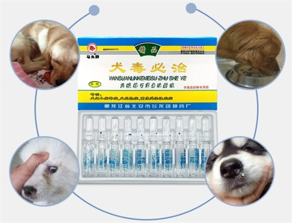 马头犬毒瘟灵能治狗拉稀不
