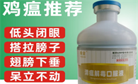 泰全鸡痘药没有病的鸡可以吃吗