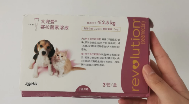 大宠爱扫码验真假攻略！一起来看看！