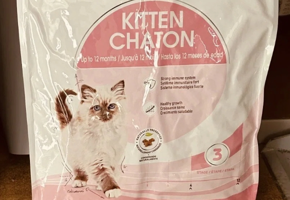 哪些牌子的猫粮比较好?皇家猫粮以科学配方与品质保障脱颖而出 哪些牌子的猫粮比较好?皇家猫粮以科学配方与品质保障脱颖而出