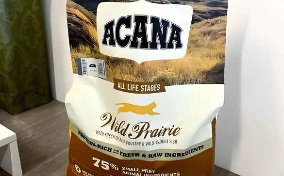 爱肯拿猫粮体验怎么样,揭示品牌背后的营养秘密 爱肯拿猫粮体验怎么样,揭示品牌背后的营养秘密