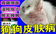 富应行真菌感染药怎么样
