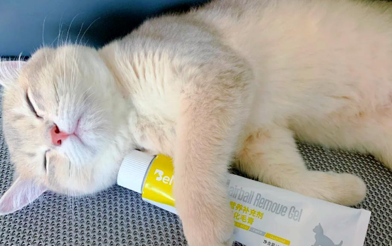 倍美特化毛膏:解决猫咪毛球困扰的贴心之选 倍美特化毛膏:解决猫咪毛球困扰的贴心之选