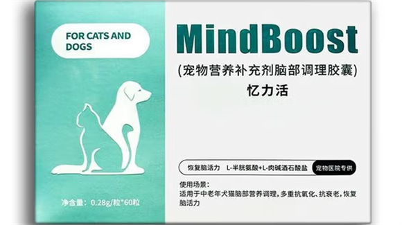 忆力活是什么 忆力活是什么