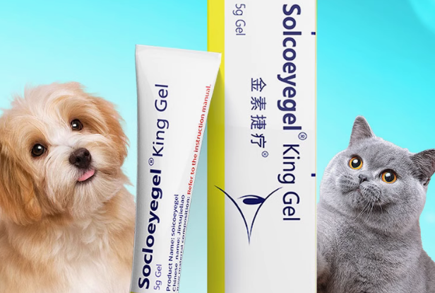 SOICOEYEGEL金素捷疗眼膏成分