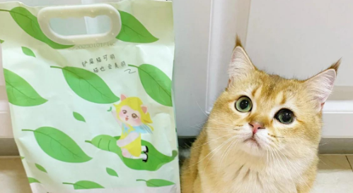 卡心猫砂是杂牌还是名牌