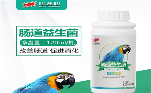 心连心