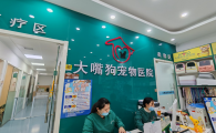 大嘴狗宠物医院好不好