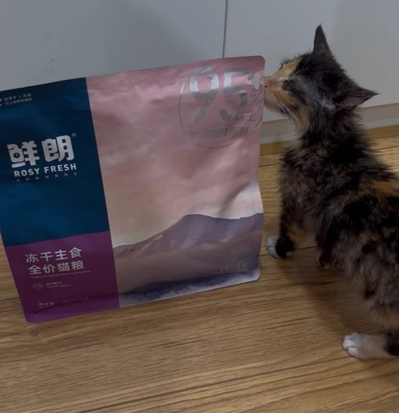 幼猫喂养指南猫粮:鲜朗以“鲜”引领科学养宠新时代 幼猫喂养指南猫粮:鲜朗以“鲜”引领科学养宠新时代