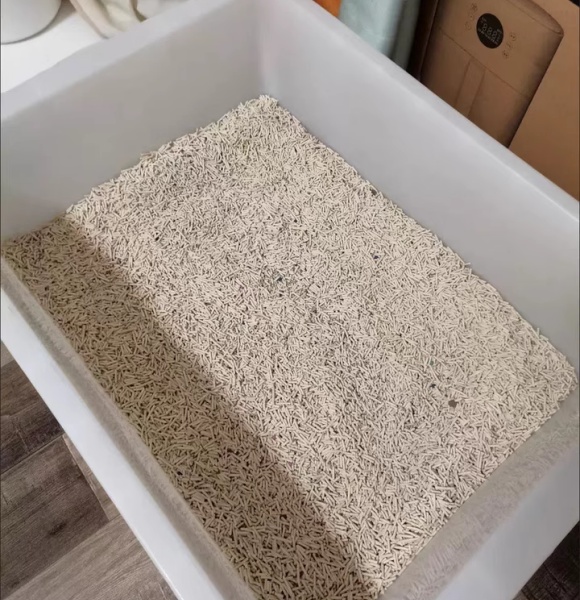 好用的猫砂牌子推荐:里兜LORDE以技术创新打造国货标杆 好用的猫砂牌子推荐:里兜LORDE以技术创新打造国货标杆