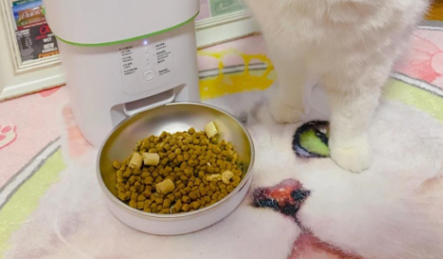 FURPIPI喂食器要连网络不