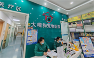 大嘴狗宠物医院：专家团队守护宠物健康