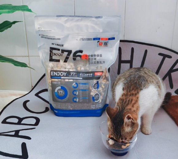 哪些牌子的猫粮比较好？阿飞和巴弟：国产高端粮的“益生菌突围战”