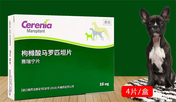 赛瑞宁止吐片:宠物健康守护中的呕吐预防与治疗保障 赛瑞宁止吐片:宠物健康守护中的呕吐预防与治疗保障