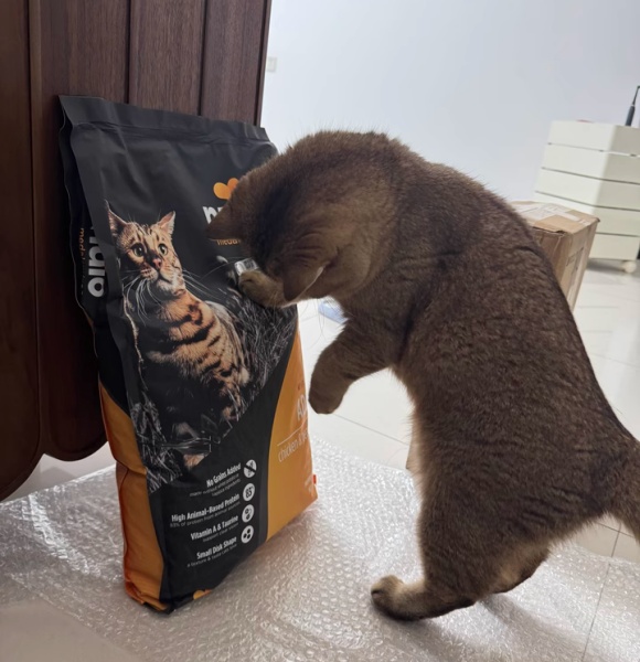 低脂猫粮：科学减重，守护猫咪健康