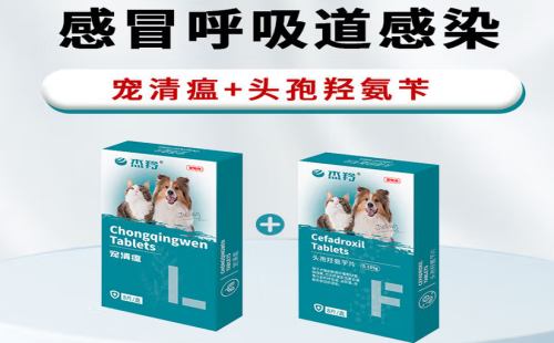 杰羚