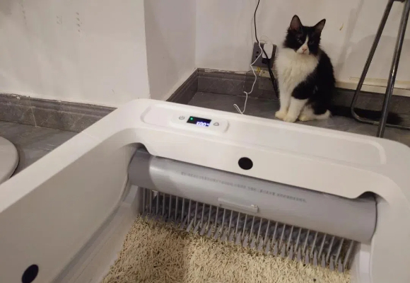 新手养猫怎么选猫砂盆?Cewey让小白轻松上手 新手养猫怎么选猫砂盆?Cewey让小白轻松上手