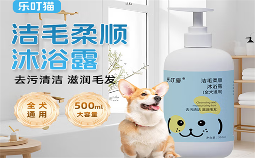 乐叮猫