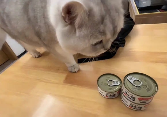 好的猫罐头推荐,希喂主食罐头为何成为养猫家庭的优选? 好的猫罐头推荐,希喂主食罐头为何成为养猫家庭的优选?