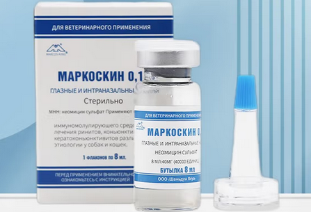 马克西金滴鼻液成分是什么 马克西金滴鼻液成分是什么