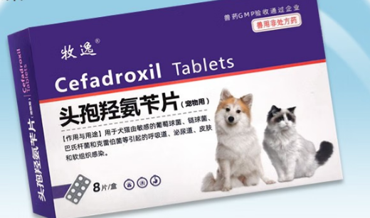 牧逸头孢羟氨苄片有副作用吗 牧逸头孢羟氨苄片有副作用吗