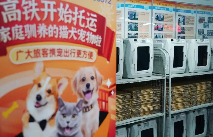 “养儿式”养宠模式,已成消费新趋势 “养儿式”养宠模式,已成消费新趋势