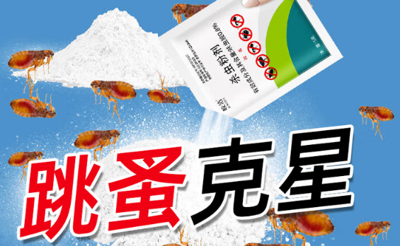 皎洁跳蚤药多久能杀死跳蚤