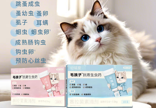 毛孩子驱虫药怎么喂