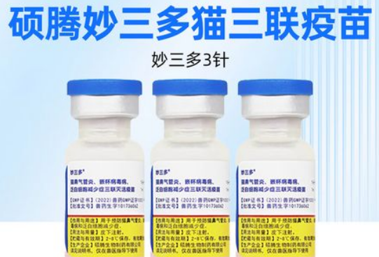 硕腾妙三多——专注于宠物疫苗的知名品牌-宠物网