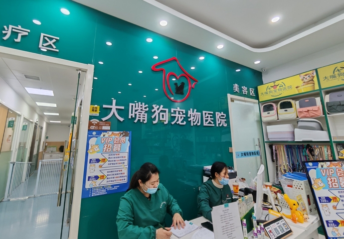 大嘴狗宠物医院怎么样