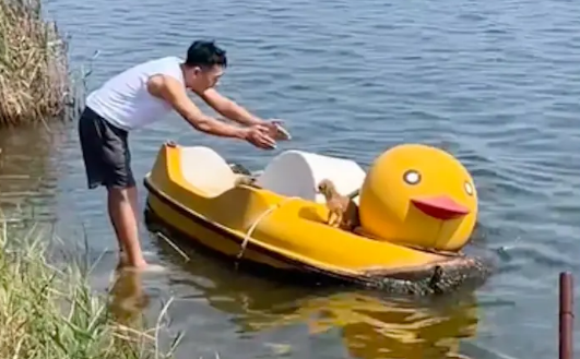 学生反复将小狗扔进河里，为了躲避，它被迫游到对岸