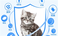 猫咪体外驱虫用什么药好