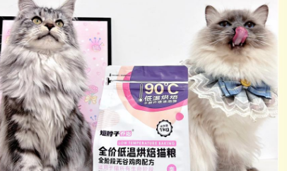 短脖子乔治哪里生产的