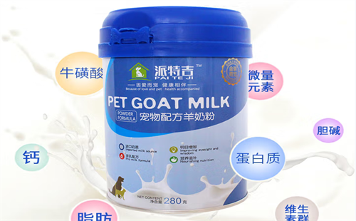 派特吉