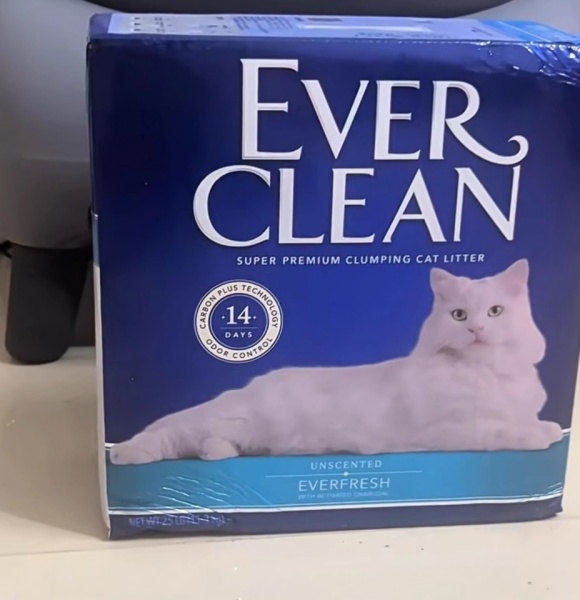 什么样的猫砂好？EverClean铂钻猫砂的“净味哲学”获认可