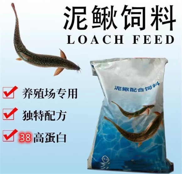 穗桓泥鳅饲料可以喂鱼吗