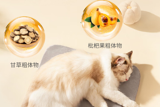 ALPHIA营养补充剂:宠物健康的全面守护者 ALPHIA营养补充剂:宠物健康的全面守护者